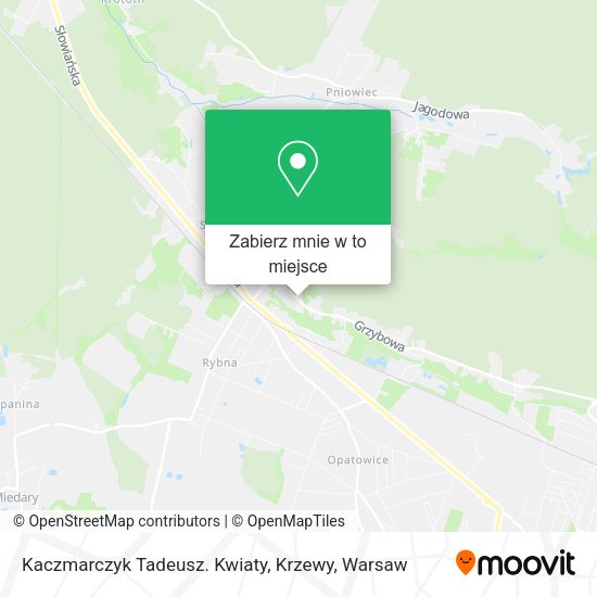 Mapa Kaczmarczyk Tadeusz. Kwiaty, Krzewy