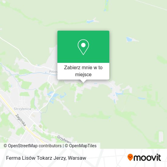 Mapa Ferma Lisów Tokarz Jerzy