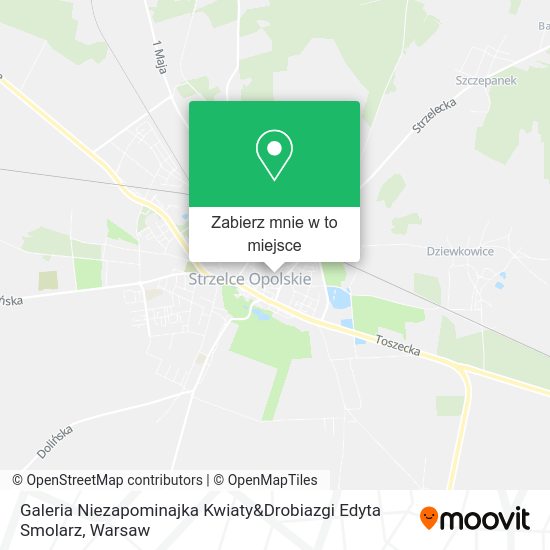 Mapa Galeria Niezapominajka Kwiaty&Drobiazgi Edyta Smolarz