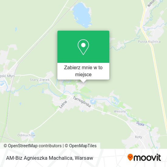 Mapa AM-Biz Agnieszka Machalica