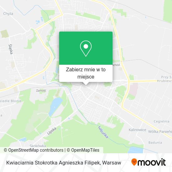 Mapa Kwiaciarnia Stokrotka Agnieszka Filipek