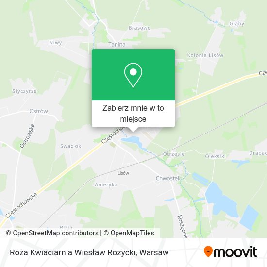 Mapa Róża Kwiaciarnia Wiesław Różycki