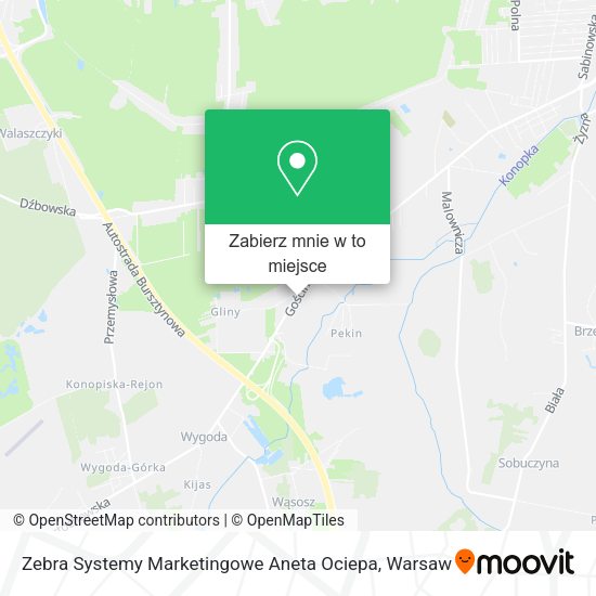 Mapa Zebra Systemy Marketingowe Aneta Ociepa