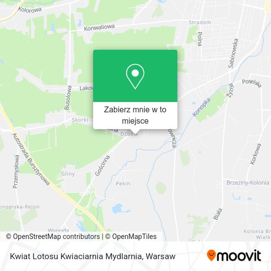 Mapa Kwiat Lotosu Kwiaciarnia Mydlarnia