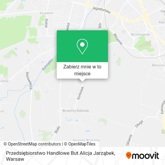 Mapa Przedsiębiorstwo Handlowe But Alicja Jarząbek