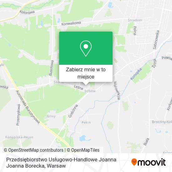 Mapa Przedsiębiorstwo Usługowo-Handlowe Joanna Joanna Borecka