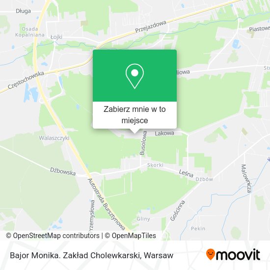 Mapa Bajor Monika. Zakład Cholewkarski