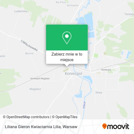 Mapa Liliana Gieron Kwiaciarnia Lilia