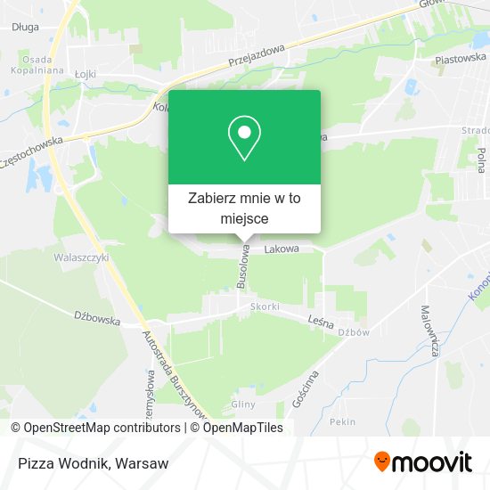 Mapa Pizza Wodnik