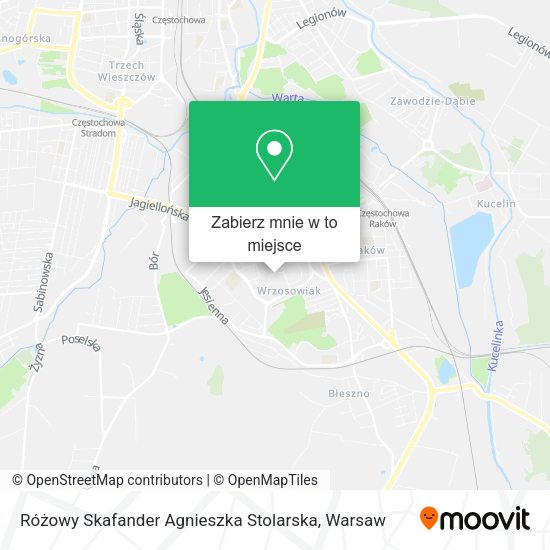 Mapa Różowy Skafander Agnieszka Stolarska