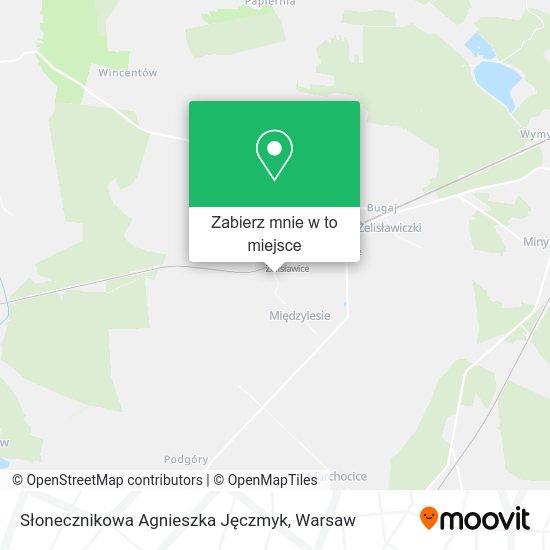 Mapa Słonecznikowa Agnieszka Jęczmyk