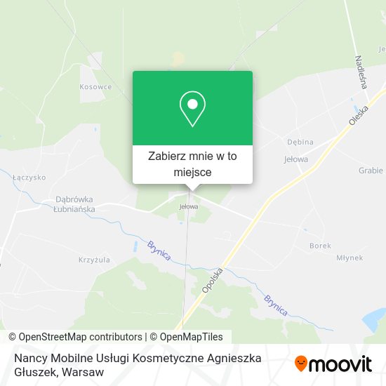 Mapa Nancy Mobilne Usługi Kosmetyczne Agnieszka Głuszek