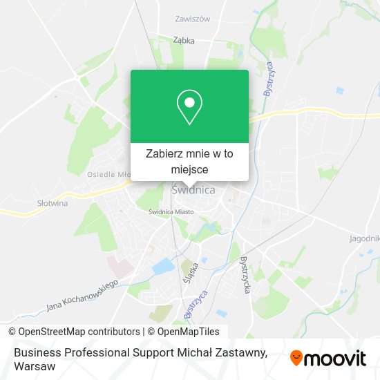 Mapa Business Professional Support Michał Zastawny