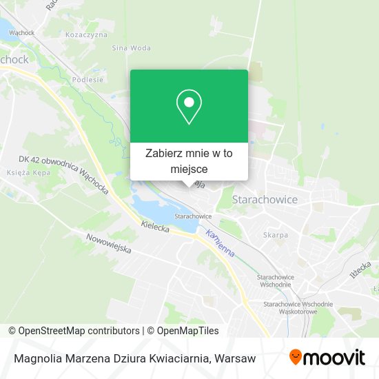 Mapa Magnolia Marzena Dziura Kwiaciarnia