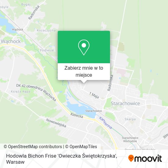 Mapa Hodowla Bichon Frise 'Owieczka Świętokrzyska'