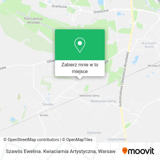 Mapa Szawlis Ewelina. Kwiaciarnia Artystyczna