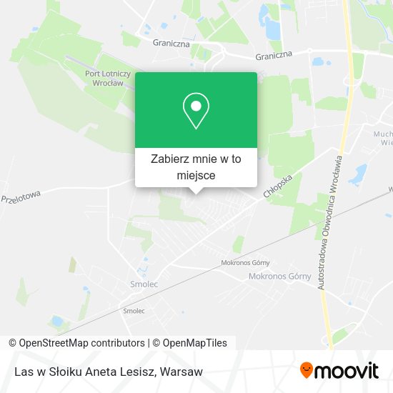 Mapa Las w Słoiku Aneta Lesisz