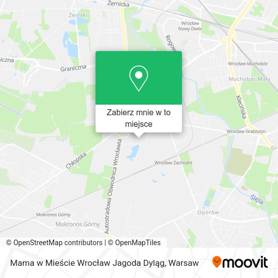 Mapa Mama w Mieście Wrocław Jagoda Dyląg