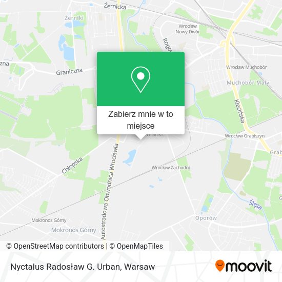 Mapa Nyctalus Radosław G. Urban