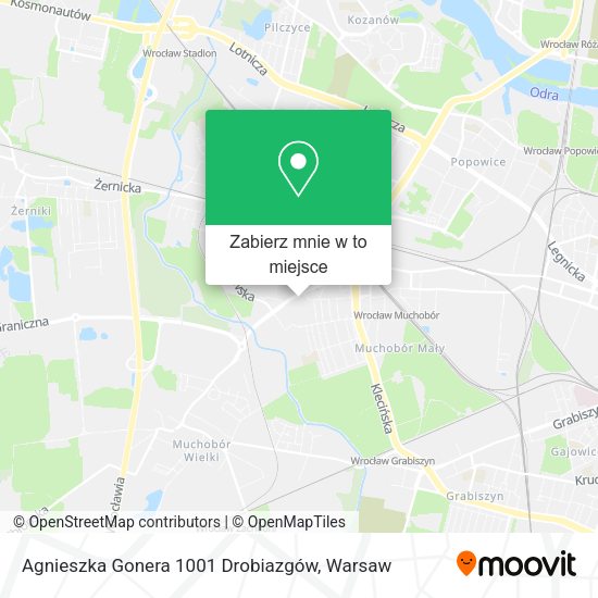 Mapa Agnieszka Gonera 1001 Drobiazgów