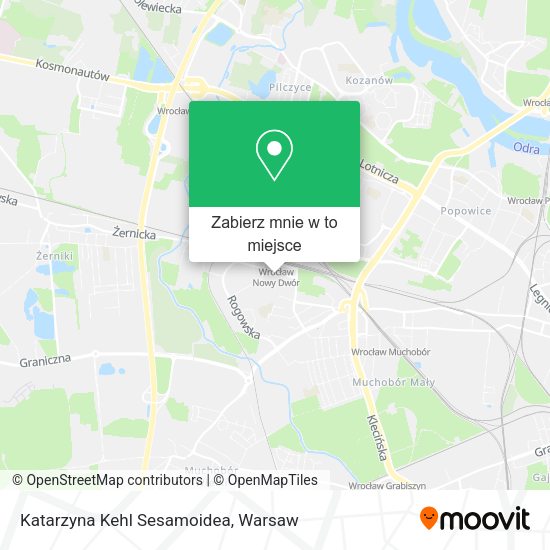 Mapa Katarzyna Kehl Sesamoidea