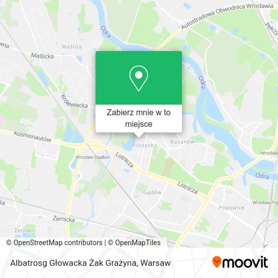 Mapa Albatrosg Głowacka Żak Grażyna