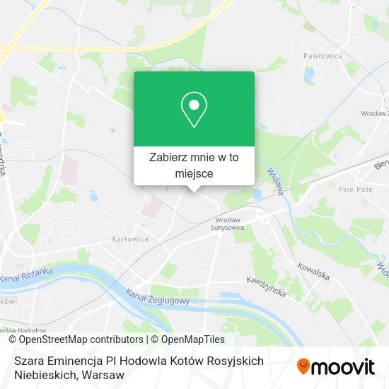 Mapa Szara Eminencja Pl Hodowla Kotów Rosyjskich Niebieskich