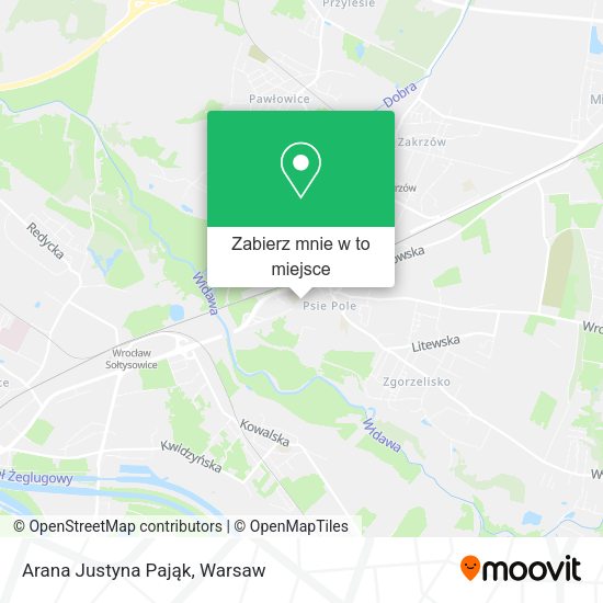 Mapa Arana Justyna Pająk