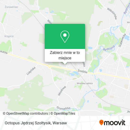 Mapa Octopus Jędrzej Szołtysik