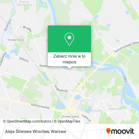 Mapa Aleja Śliwowa Wrocław