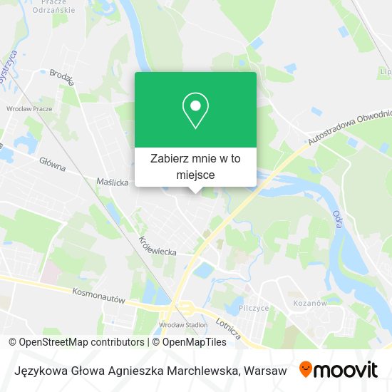 Mapa Językowa Głowa Agnieszka Marchlewska