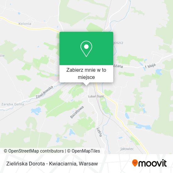 Mapa Zielińska Dorota - Kwiaciarnia