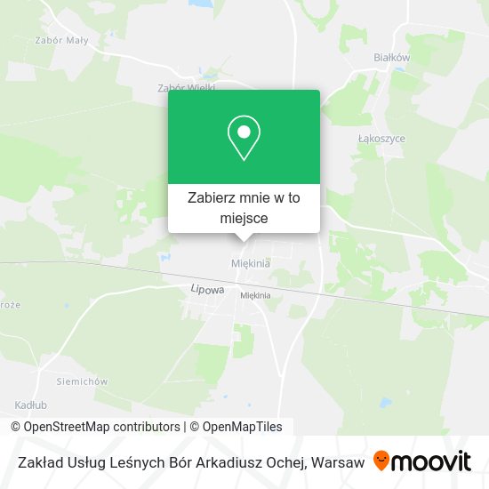 Mapa Zakład Usług Leśnych Bór Arkadiusz Ochej