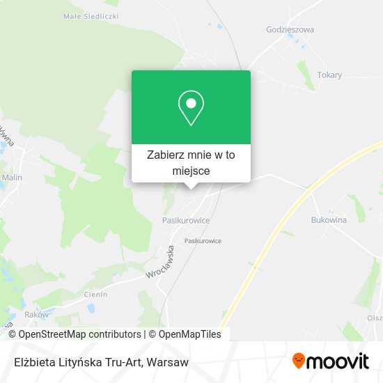 Mapa Elżbieta Lityńska Tru-Art