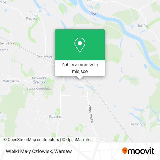 Mapa Wielki Mały Człowiek