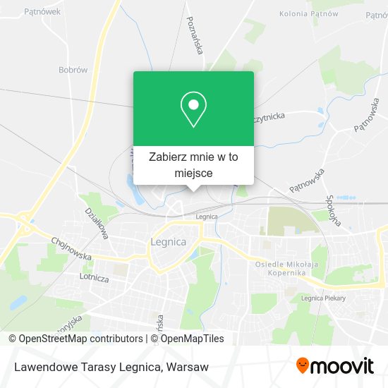 Mapa Lawendowe Tarasy Legnica