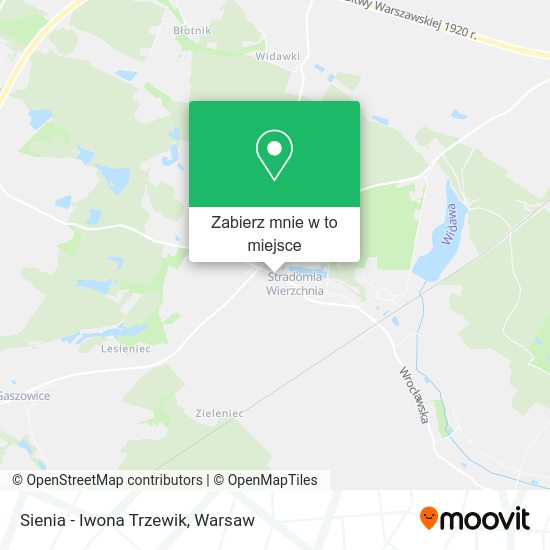 Mapa Sienia - Iwona Trzewik