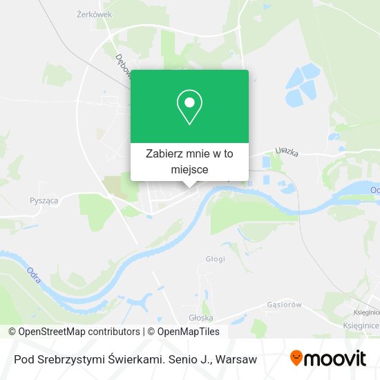 Mapa Pod Srebrzystymi Świerkami. Senio J.