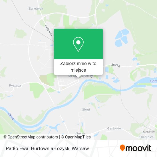 Mapa Padło Ewa. Hurtownia Łożysk