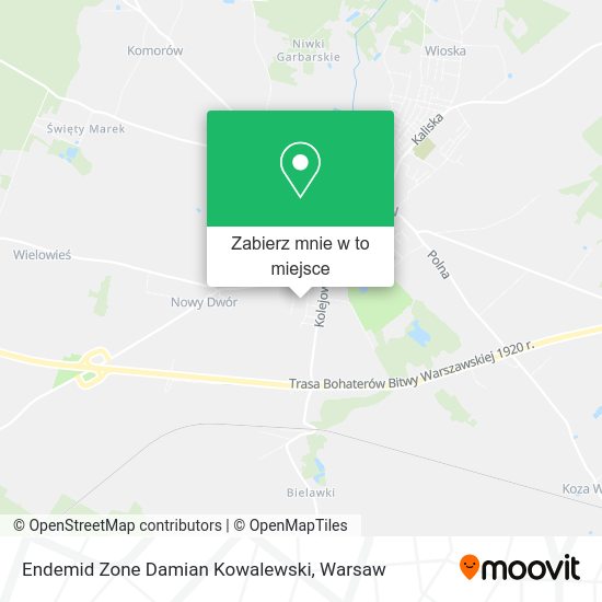 Mapa Endemid Zone Damian Kowalewski