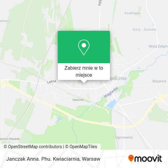 Mapa Janczak Anna. Phu. Kwiaciarnia