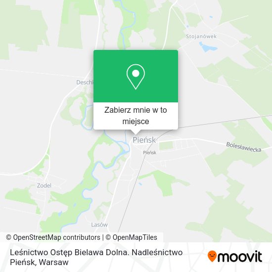 Mapa Leśnictwo Ostęp Bielawa Dolna. Nadleśnictwo Pieńsk