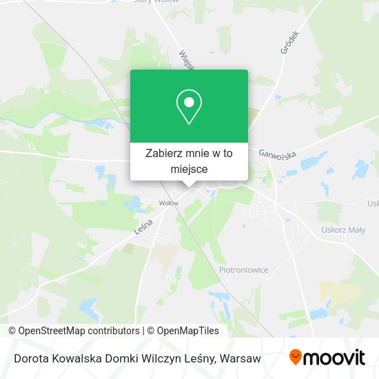 Mapa Dorota Kowalska Domki Wilczyn Leśny