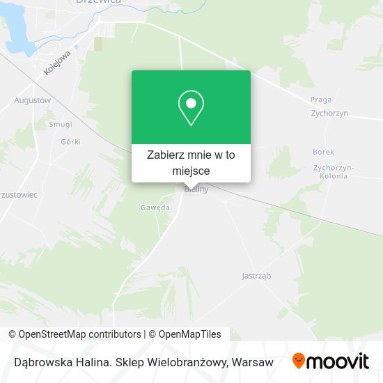 Mapa Dąbrowska Halina. Sklep Wielobranżowy