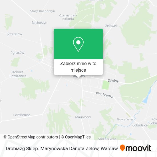 Mapa Drobiazg Sklep. Marynowska Danuta Zelów