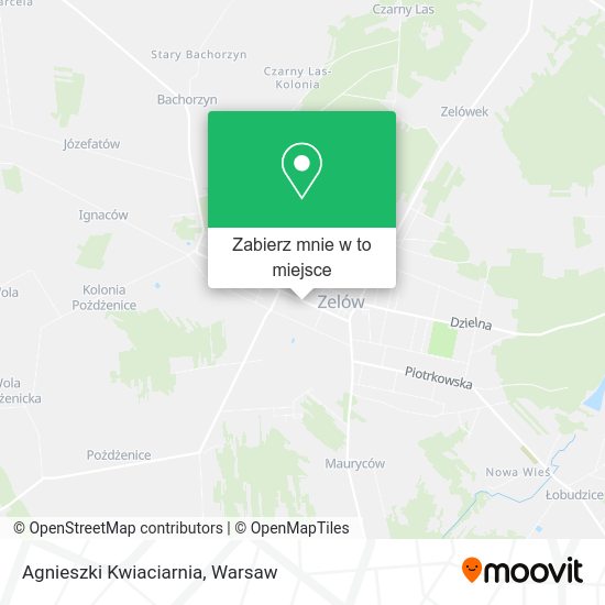 Mapa Agnieszki Kwiaciarnia