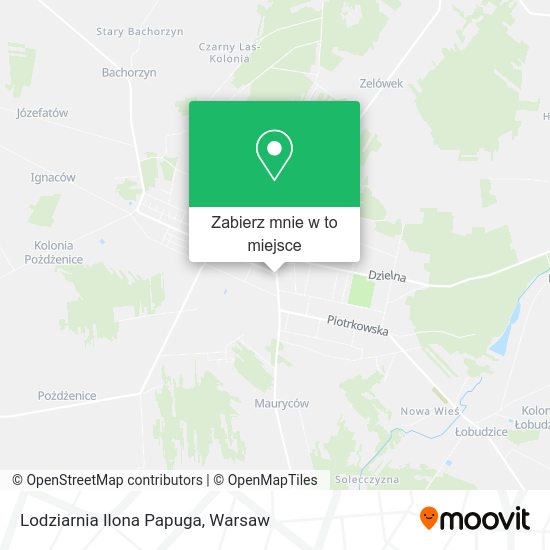 Mapa Lodziarnia Ilona Papuga