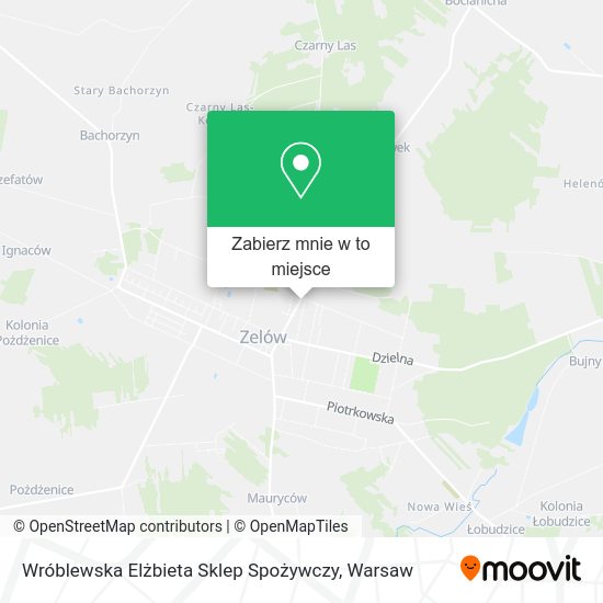 Mapa Wróblewska Elżbieta Sklep Spożywczy