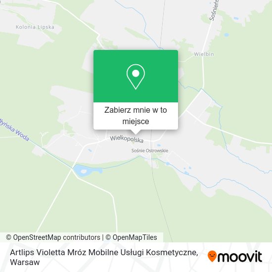 Mapa Artlips Violetta Mróz Mobilne Usługi Kosmetyczne