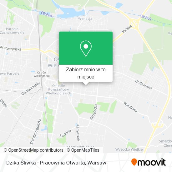 Mapa Dzika Śliwka - Pracownia Otwarta